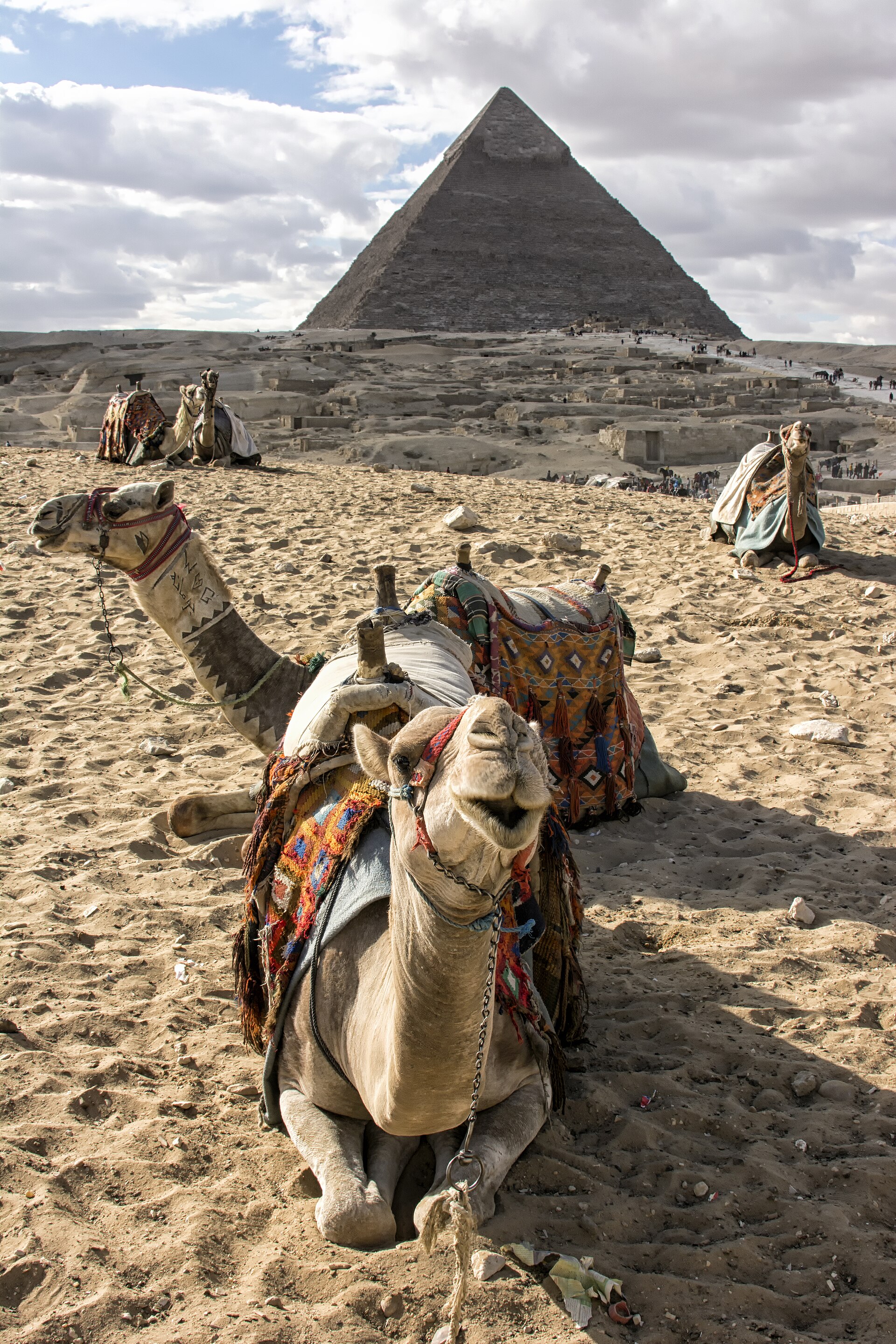 Gizeh et patrimoine du Caire - vue 2