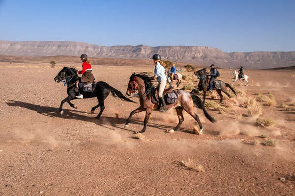 Safari à cheval