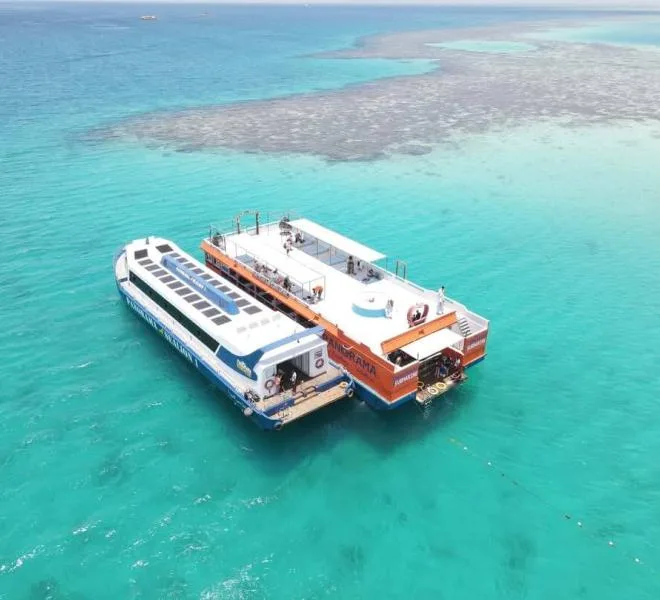 Semi-sous-marin et snorkeling