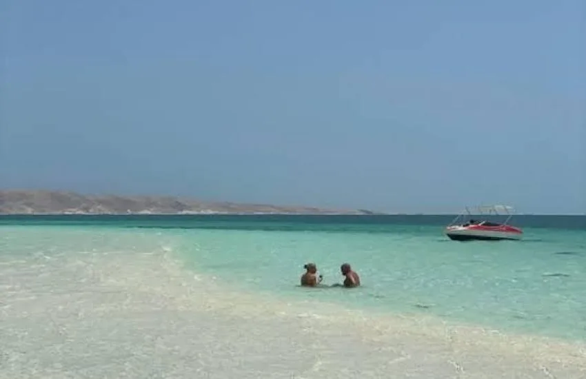 Île + White Island
