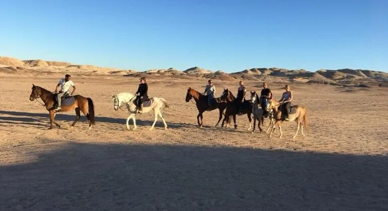 Safari à cheval