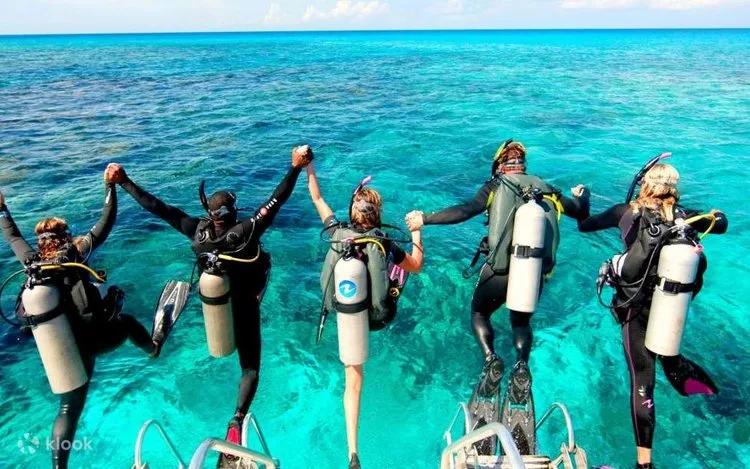 Plongée sous marine