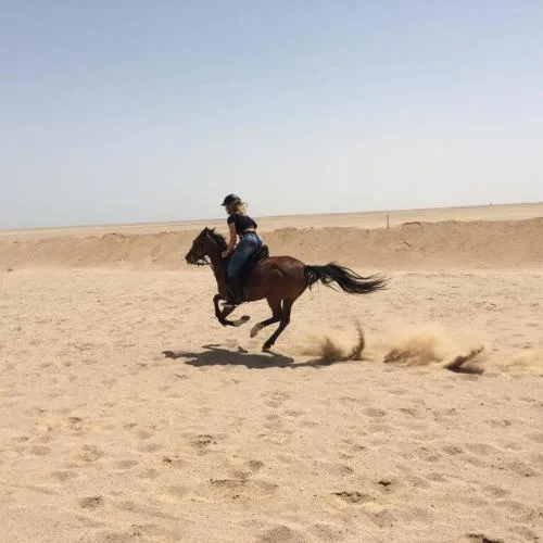 Safari à cheval