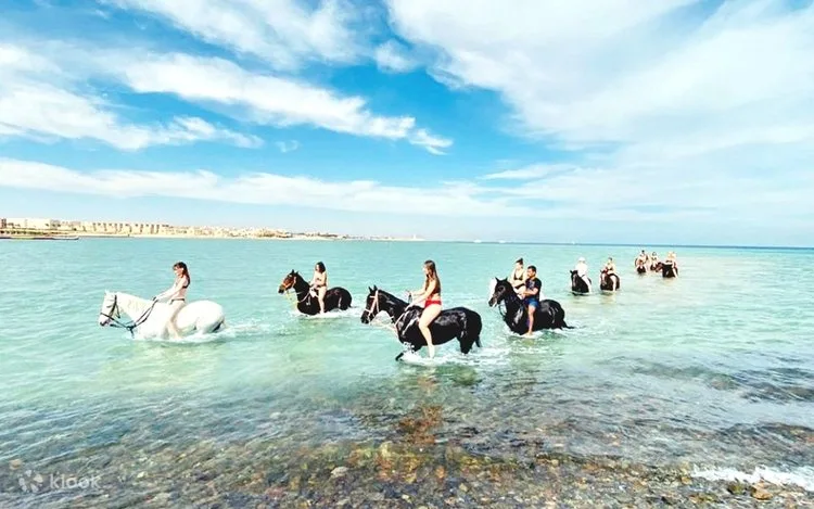 Balade à cheval de 2 heures