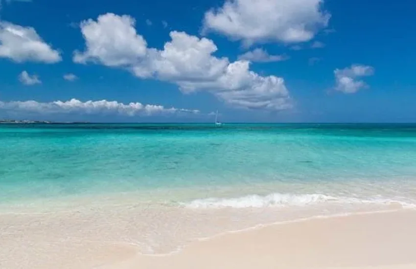 Île + White Island
