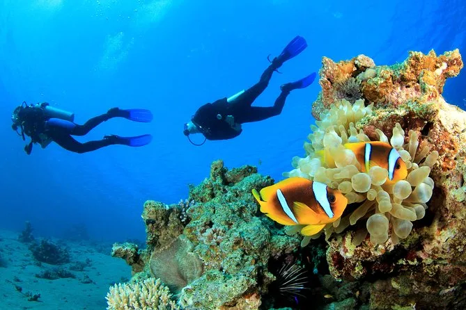 Plongée sous marine