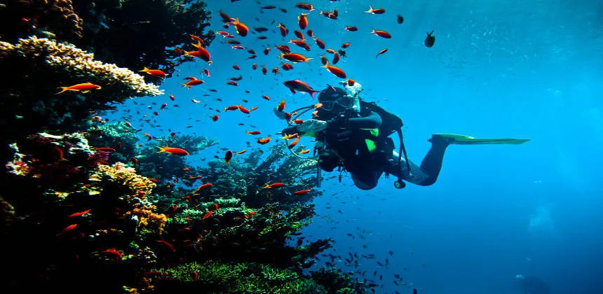Plongée sous marine